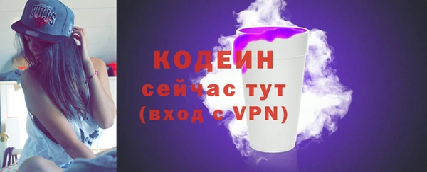 дживик Богородицк