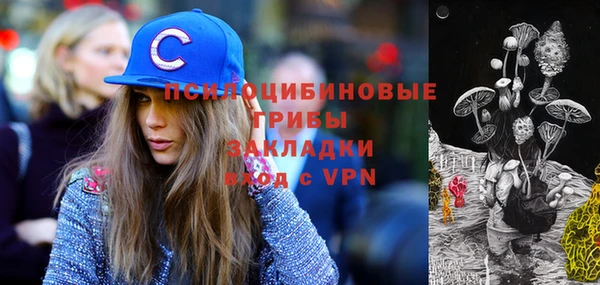дживик Богородицк