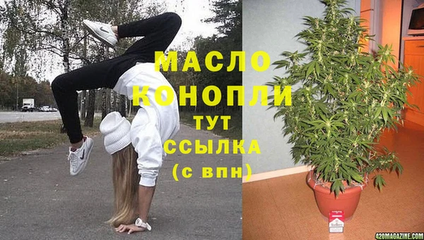 дживик Богородицк