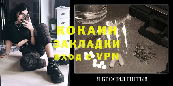 дживик Богородицк